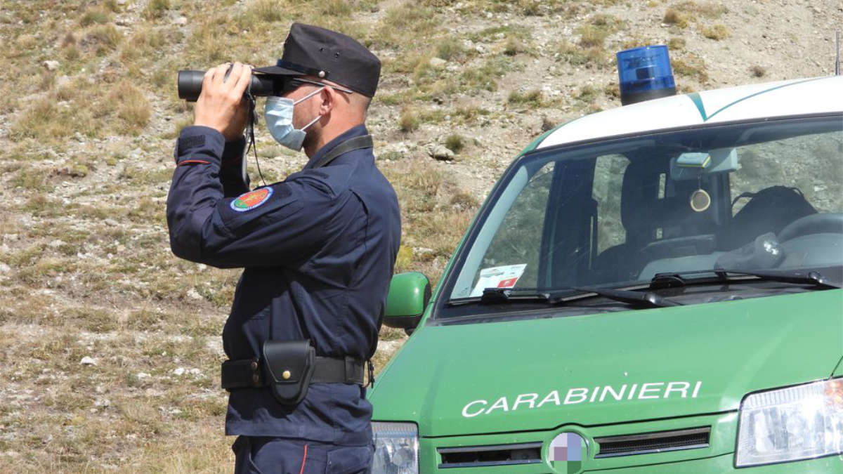 Carabinieri Forestali Piemonte